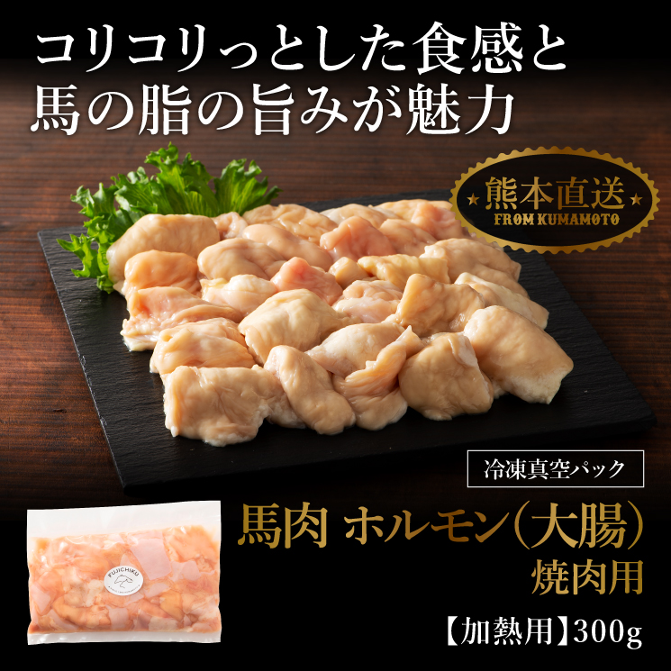 馬ホルモン 小腸 煮込み用 もつ鍋 500g×2P 牧場直送 肉 フジチク 馬肉