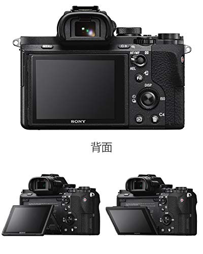 α7 II 2