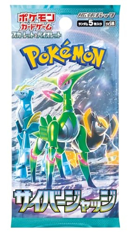 サイバージャッジ 2