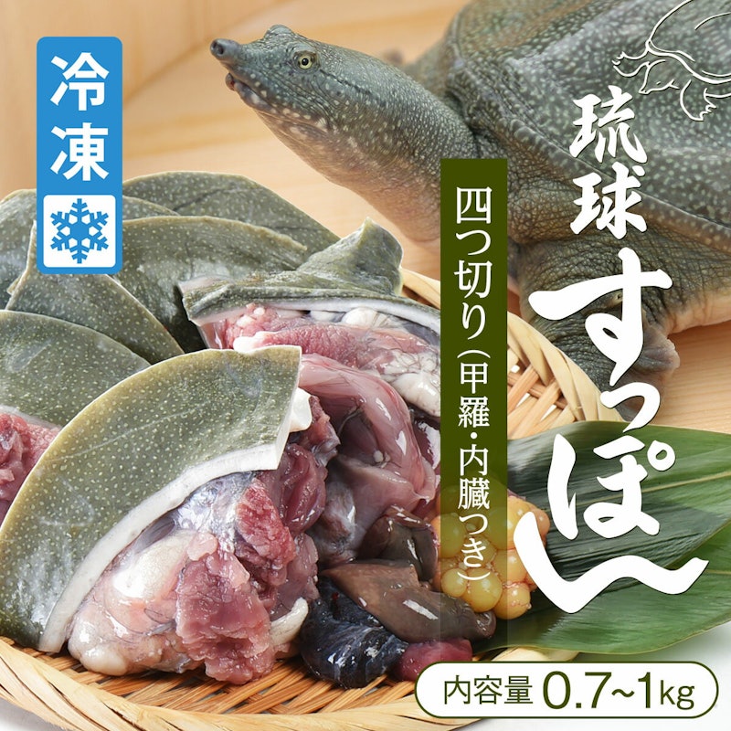 琉球すっぽん 1