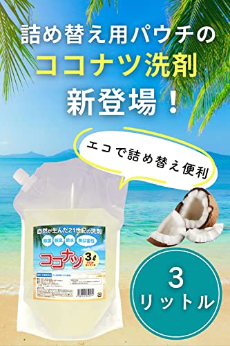 ココナツ洗剤 詰め替えしやすいコンパクトパウチ  2