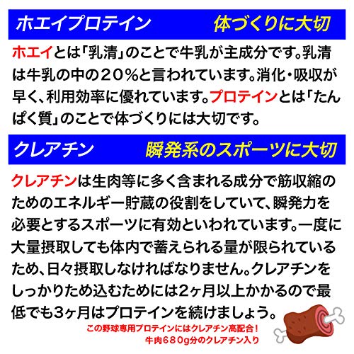 パーフェクトプロテイン 6