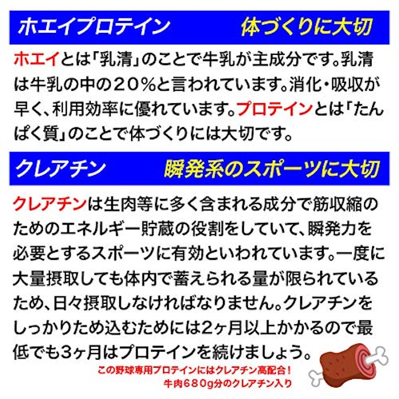 パーフェクトプロテイン 6