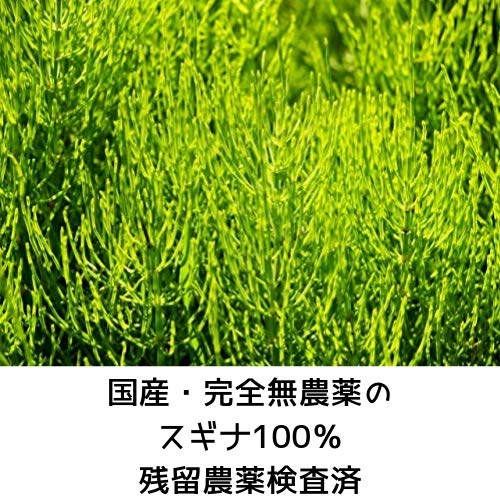 スギナ茶 2