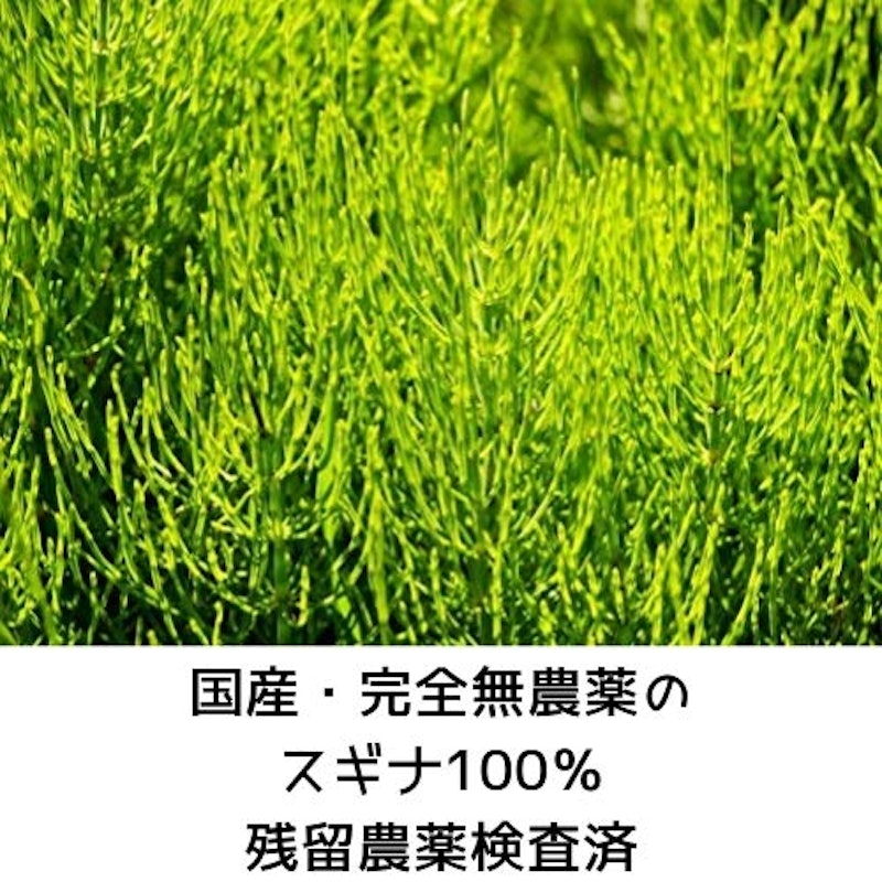 スギナ茶 2