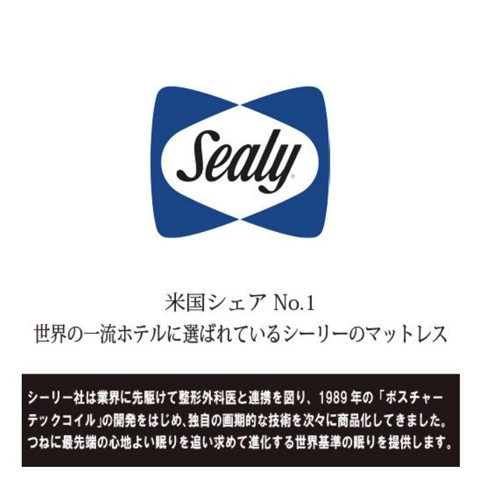 プリメーラN 6