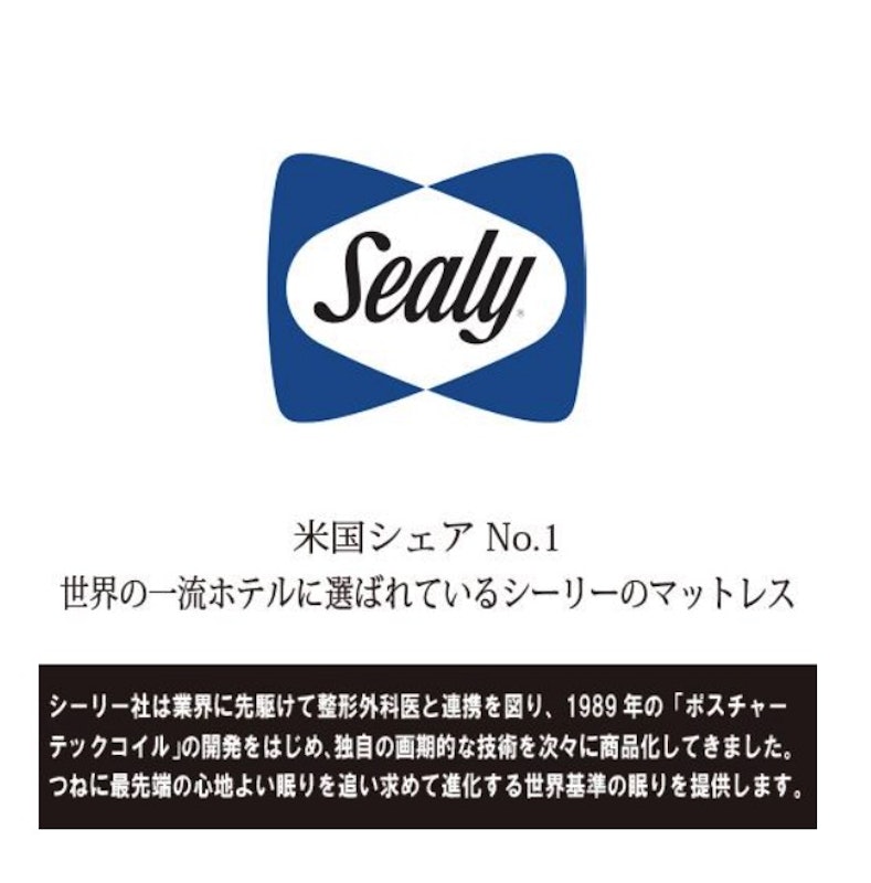 プリメーラN 6
