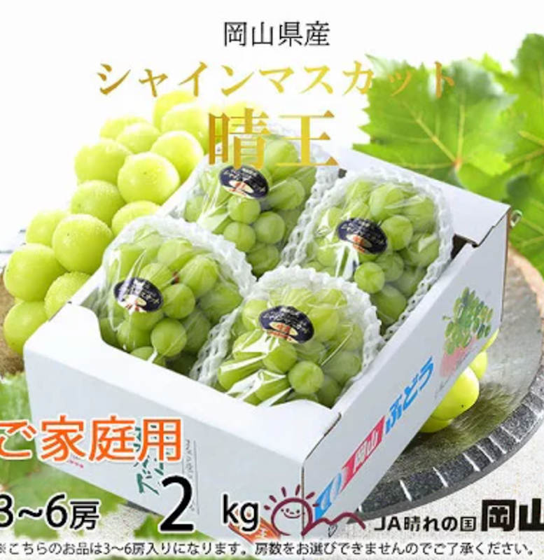 家庭用 岡山県産 シャインマスカット 晴王 1