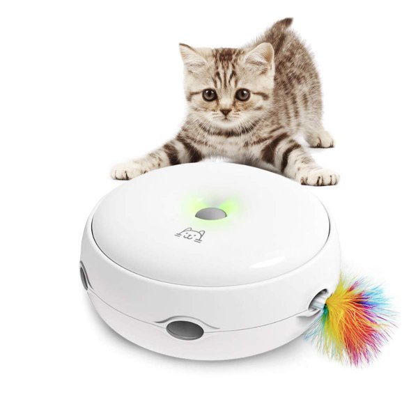 21年 猫じゃらしのおすすめ人気ランキング10選 Mybest