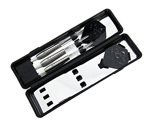 ダーツバレル 入門 蓮 1