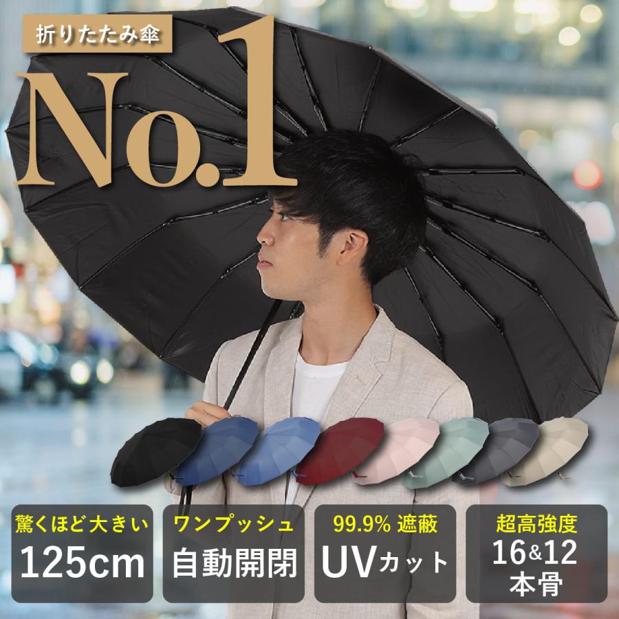 折りたたみ傘 1