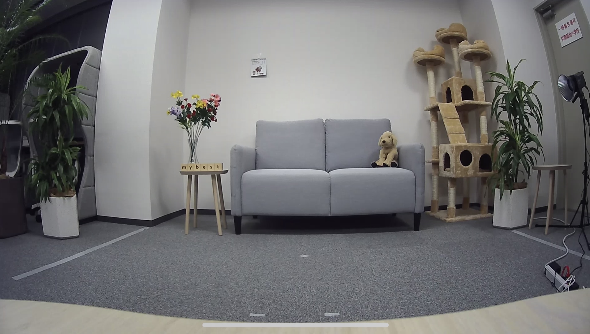 Indoor Cam 2