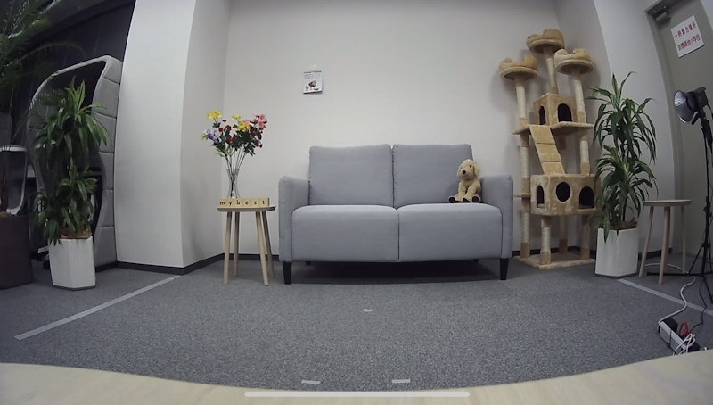 Indoor Cam 2