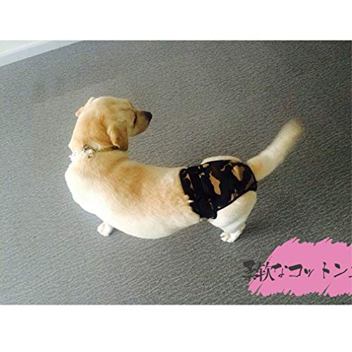 犬用おむつ 2