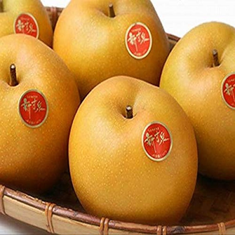 新甘泉 1