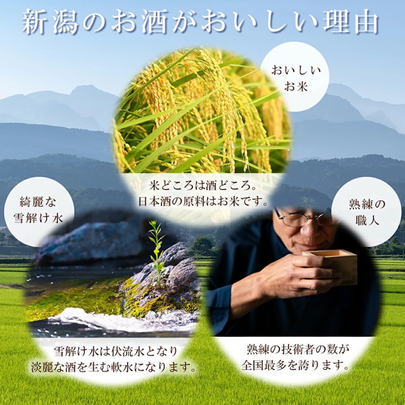日本酒 5本飲み比べセット 11