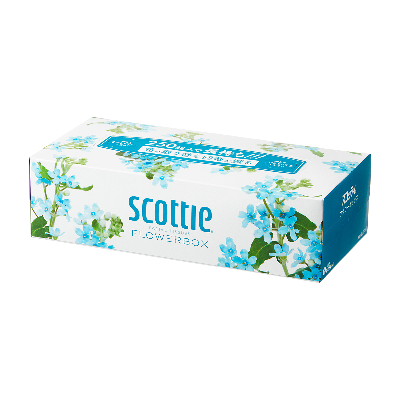 日本製紙クレシア Scottie スコッティ ティシュー フラワーボックスを