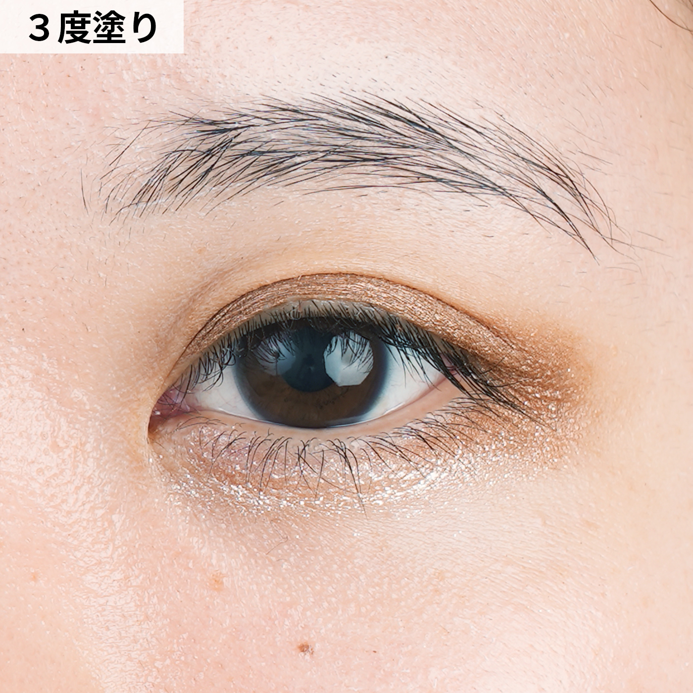 アイシャドウパレットのおすすめ人気ランキング【2025年12月】 | マイ