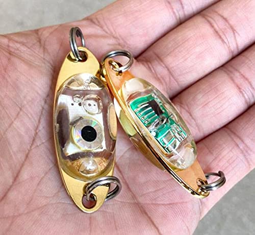 集魚灯 9