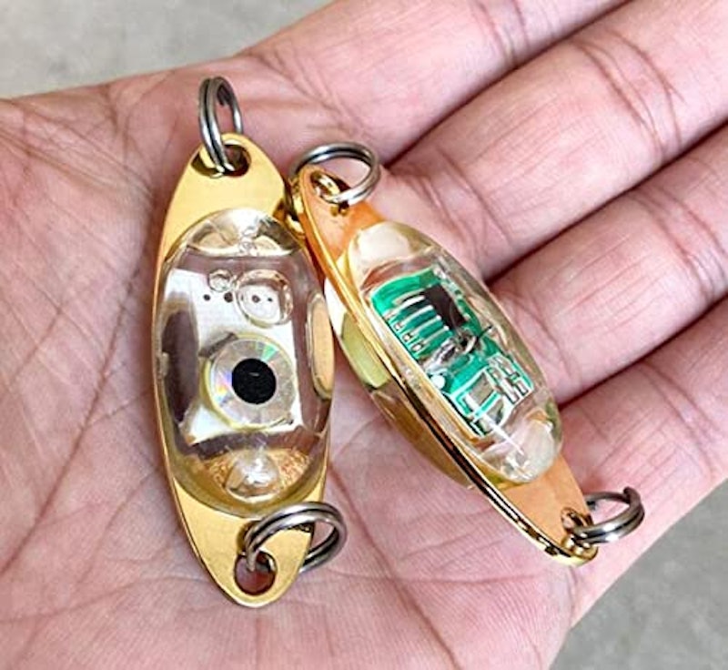 集魚灯 9