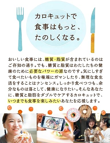 カロキュット 9