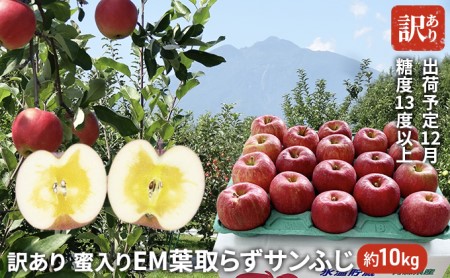 訳あり 蜜入り EM葉取らずサンふじ 1