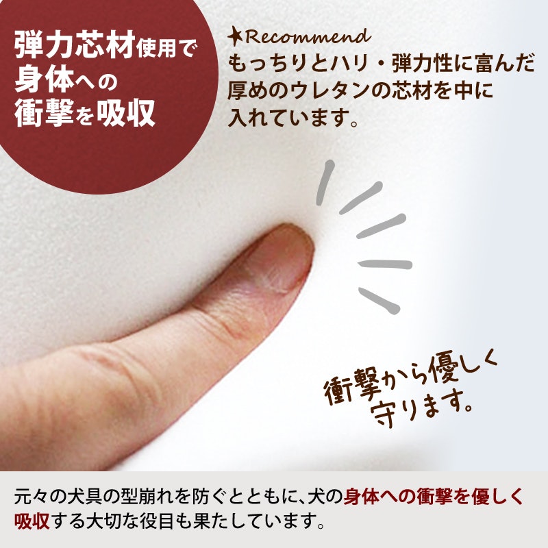 ダブルリング バックル首輪 5