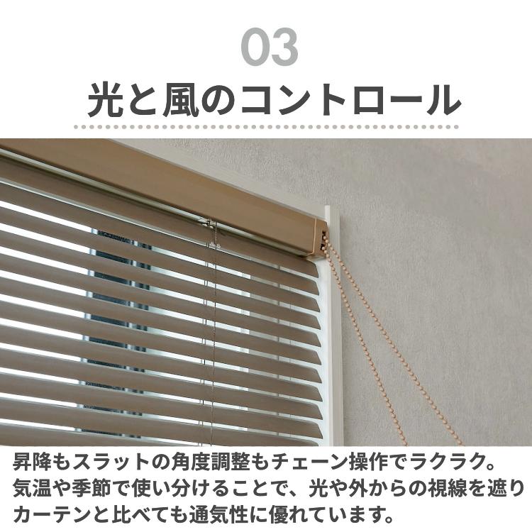 ブラインド 3
