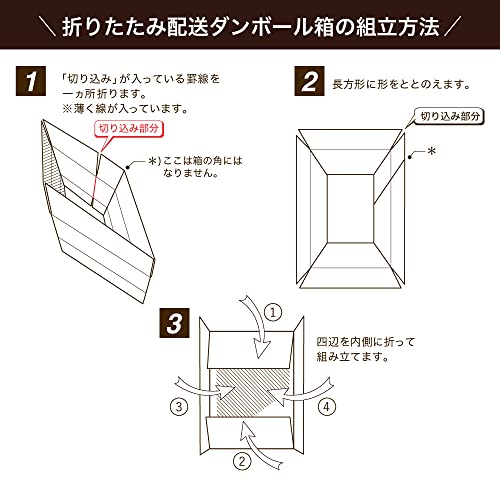 ダンボール 6