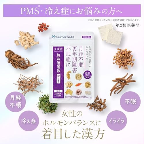 生漢煎 加味逍遙散錠SZ 2