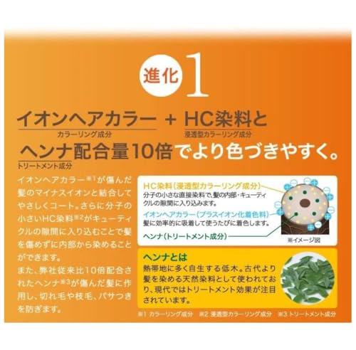 Motto ボタニカラーシャンプー 3