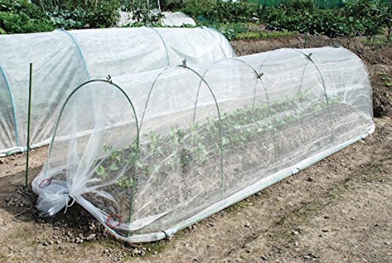 プランター菜園用防虫ネットのおすすめ人気ランキング8選 Mybest プランター菜園用防虫ネットのおすすめ人気ランキング8選 Mybest