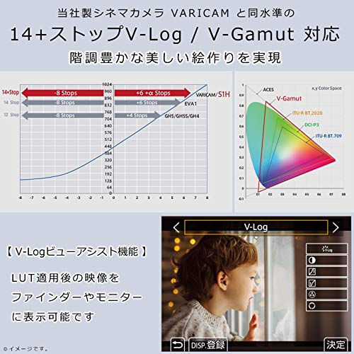 LUMIX DC-S1H 4