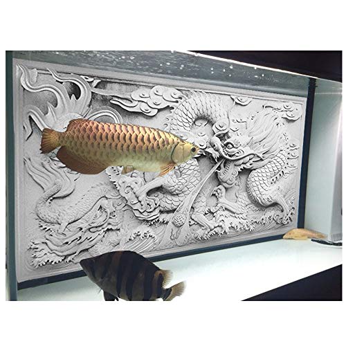 水中ポスター ハイビジョン双面竜 3