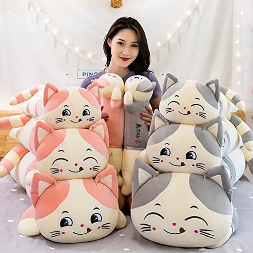 猫抱き枕 2