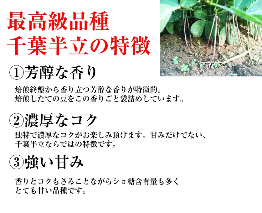 千葉半立種さや煎り落花生 2