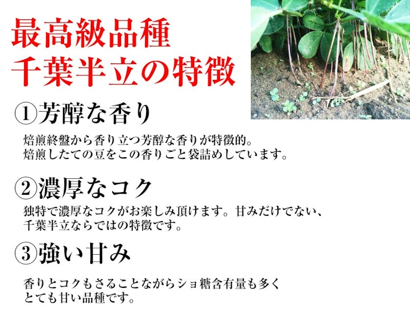 千葉半立種さや煎り落花生 2