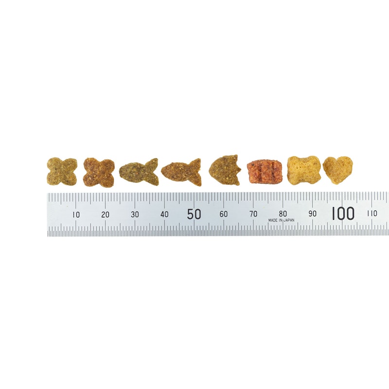 成犬用 6