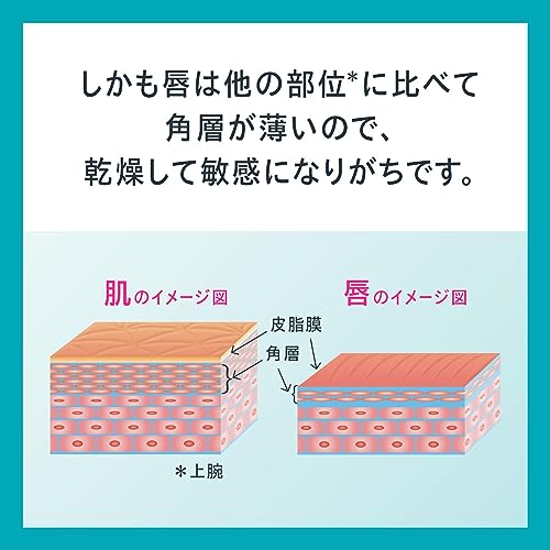 リップケアクリーム 5
