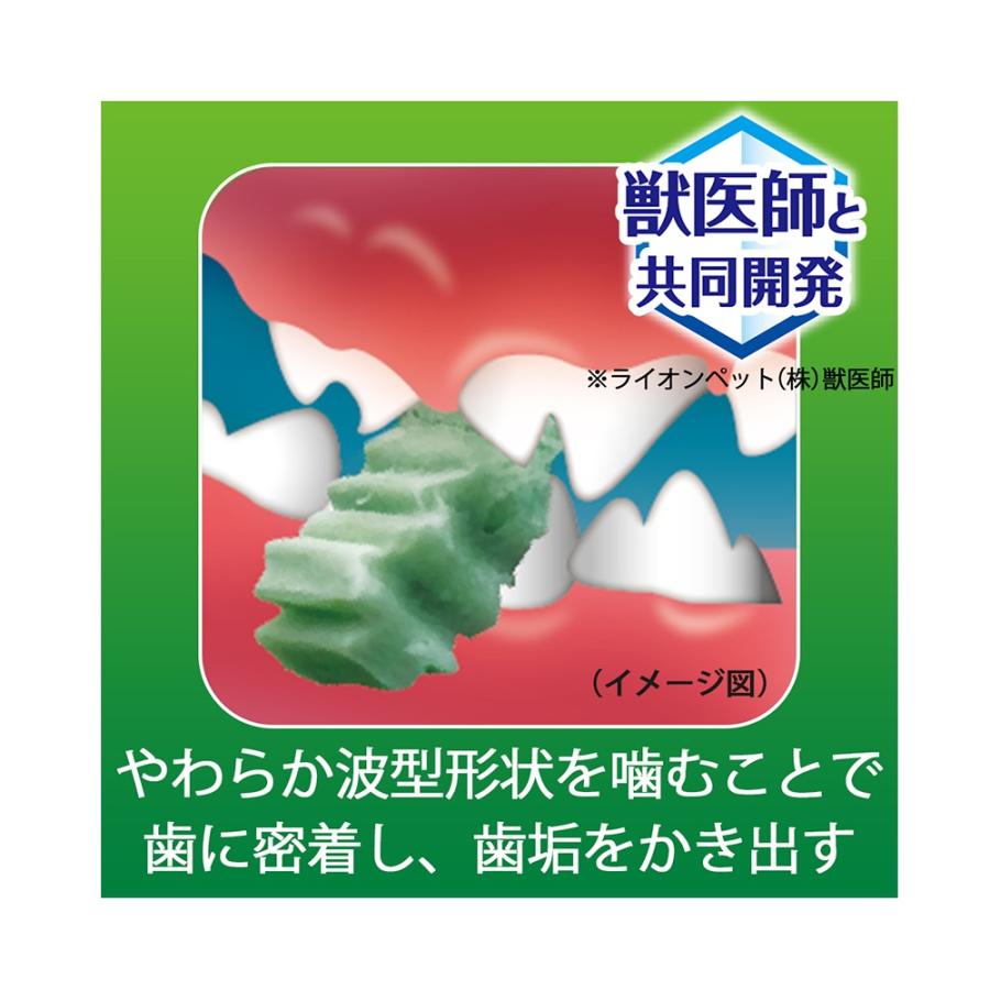 食後の歯みがきガム 4