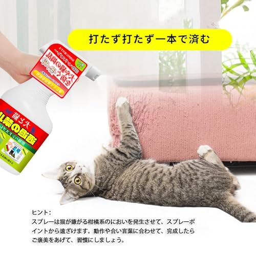  犬猫立入禁止速効スプレー 3