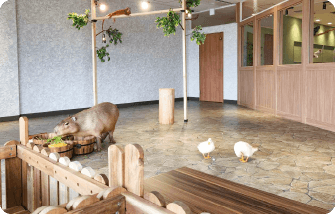 動物たちが暮らす森 アニミル 2