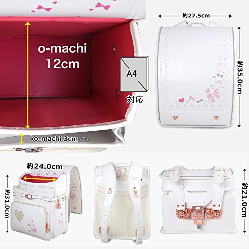ロゼットモデル 2