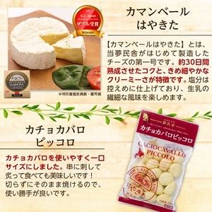 夢民舎はやきたチーズ大人気セット 2