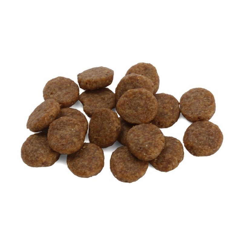 アイムス 成犬用 健康維持用 ラム&ライス小粒 9