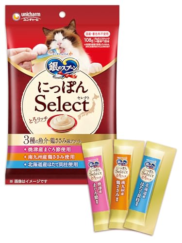 3種アソート 1