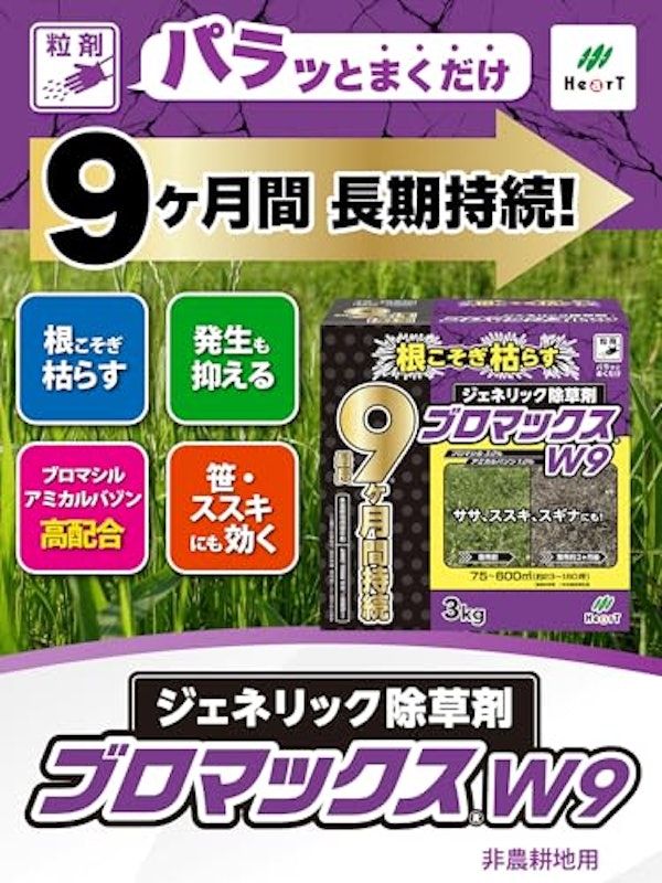ブロマックスW9 2