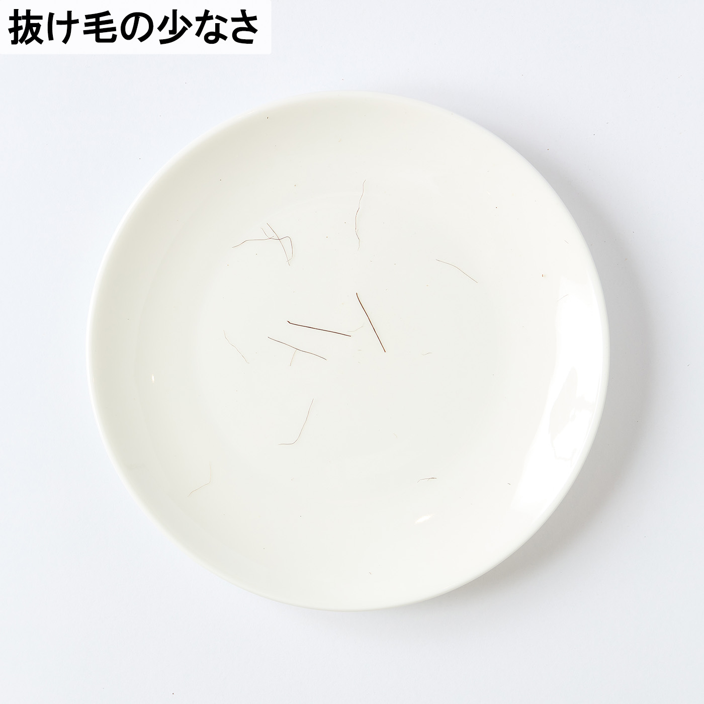 棕櫚束子 8