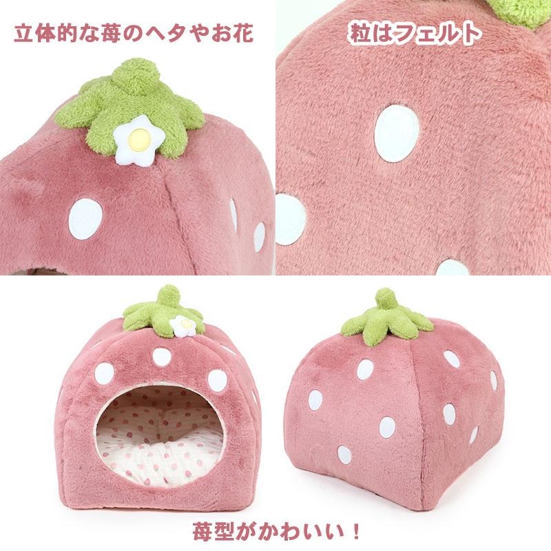 くすみ苺 ハウス 5
