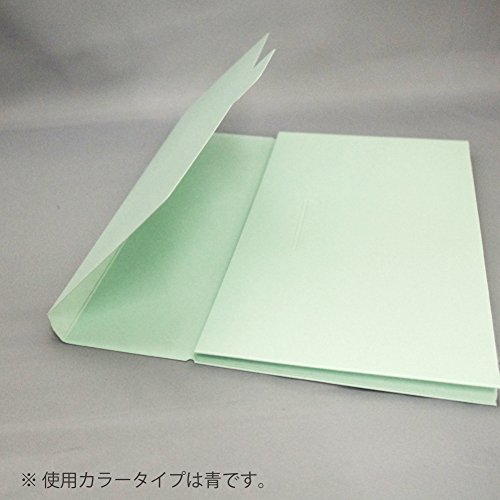 ケースファイル 高級色板紙A4縦 5
